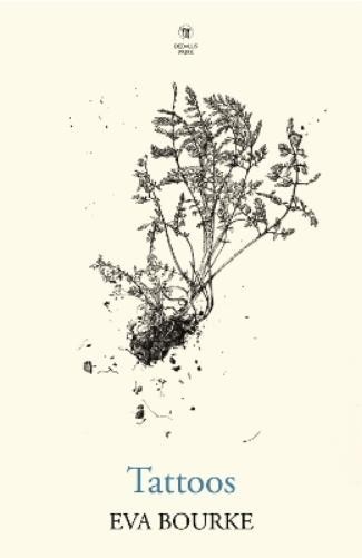 Татуировки Евы Бурк (в мягкой обложке) (ИМПОРТ ИЗ Великобритании)