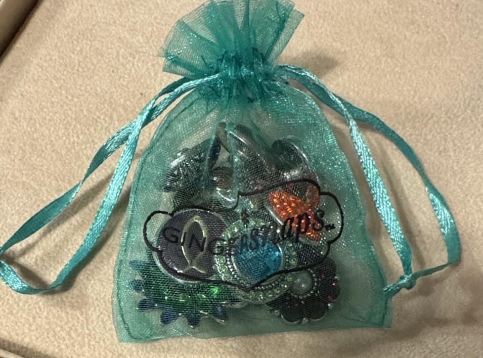 Ginger Snaps Silver Rolo Chain Toggle necklace wi… - image 15