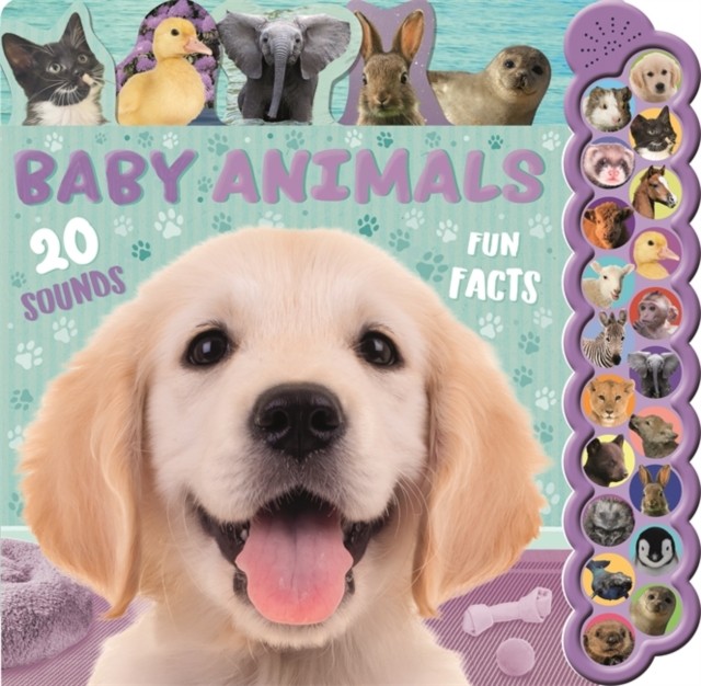 Baby Animals Igloo Books Ltd - Image 2