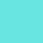 Bild 30 von 49