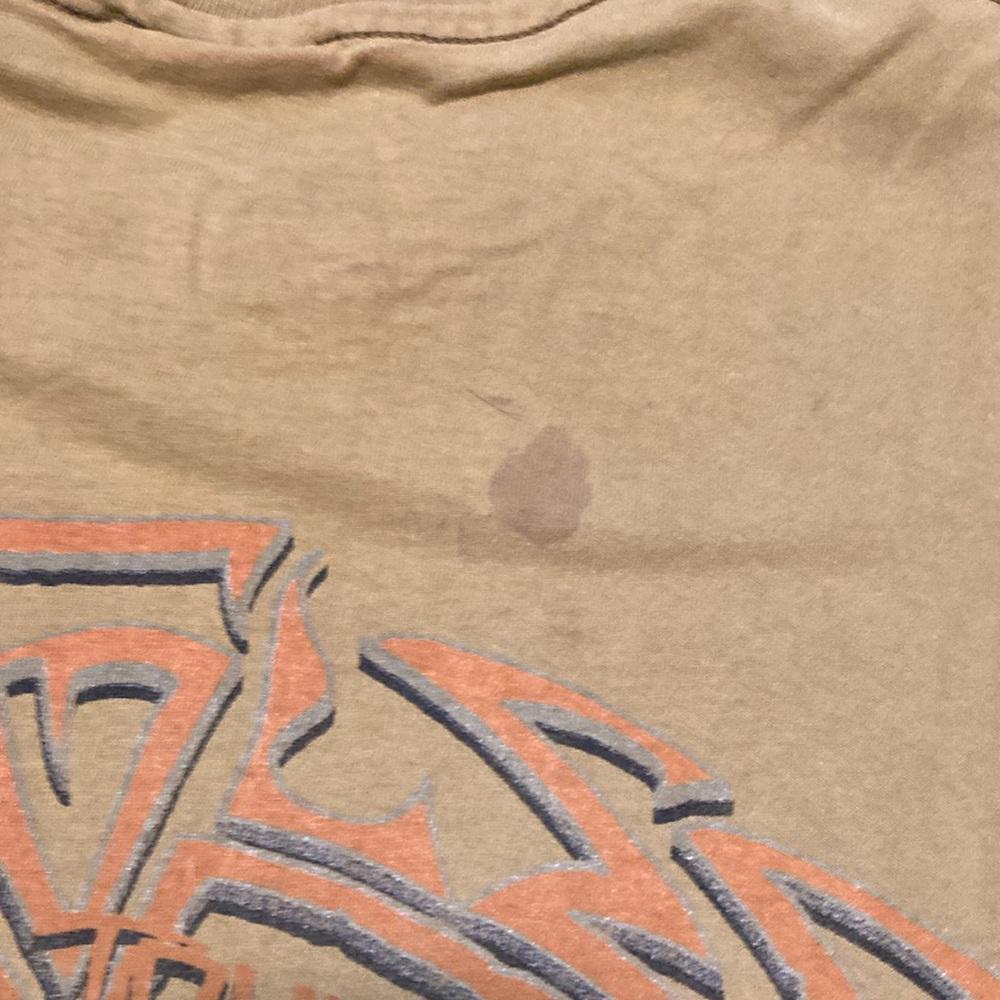 Vintage 1994 Eagles When Hell Freezes OverTour T-… - image 4