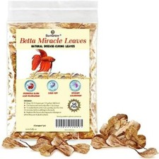 Aquarium Catappa Indian Almond Leaves for Betta Fish Tank 2&rdquo; Water Conditioner