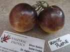 Weie lila Tomate 10+ Samen Erbstck HONIGSSSE RARITT P 031