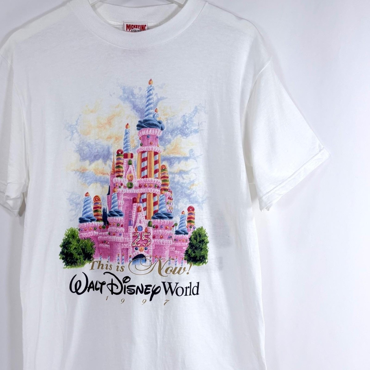 Walt Disney World Tシャツ 1997年 Vintage Walt Disney World T-Shirt 1997 25th Anniversary Cake