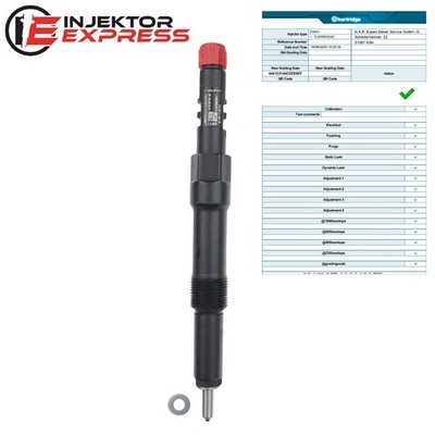 EJDR00504Z Einspritzdüse Jaguar Ford Mondeo B4Y B5Y BWY EURO 4 2.0 4S7Q9K546BD