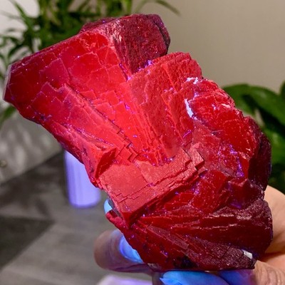677G Natural black rose fluorescent cube fluorite specimen glow under UV light