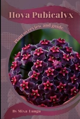 Mixa Lungu Hoya Pubicalyx (Paperback)
