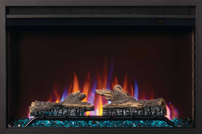 Napoleon Electric Fireplace -- Indoor/Outdoor Brand NEW in box 