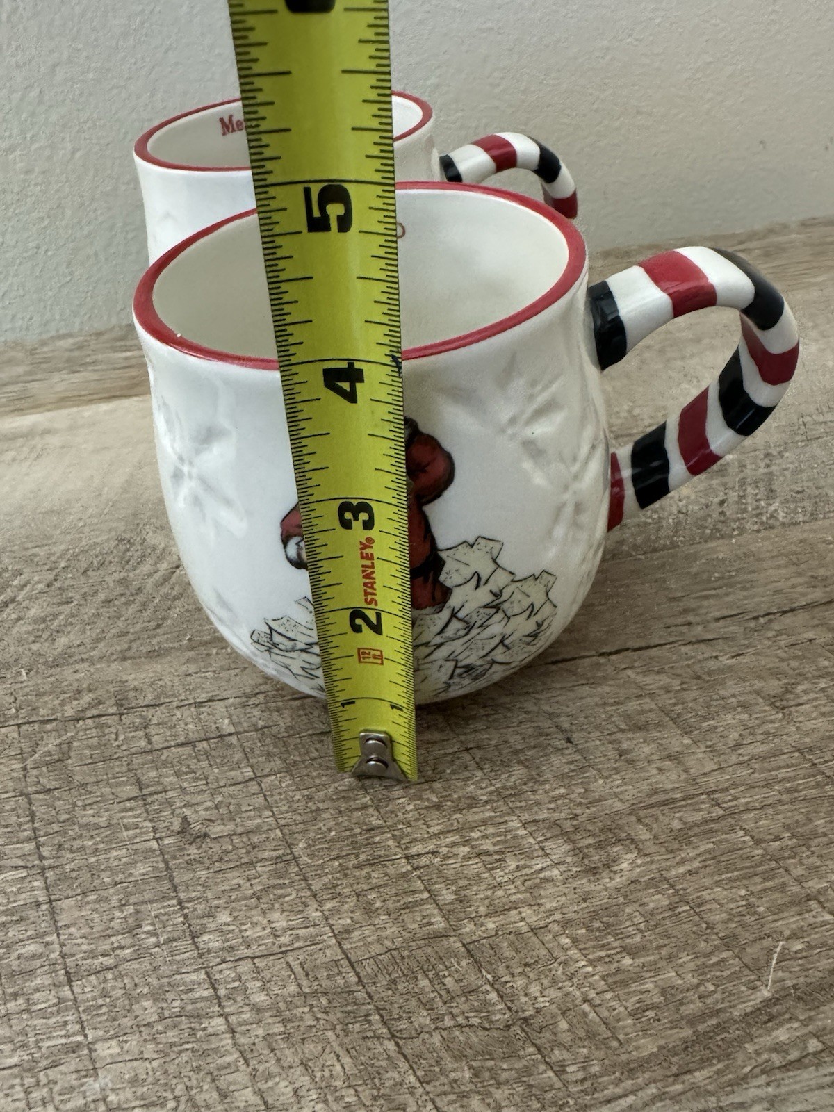 Picture 6 of 11