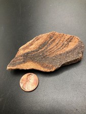 Sedimentary Sandstone Picture Rock Specimen 58g 3.25