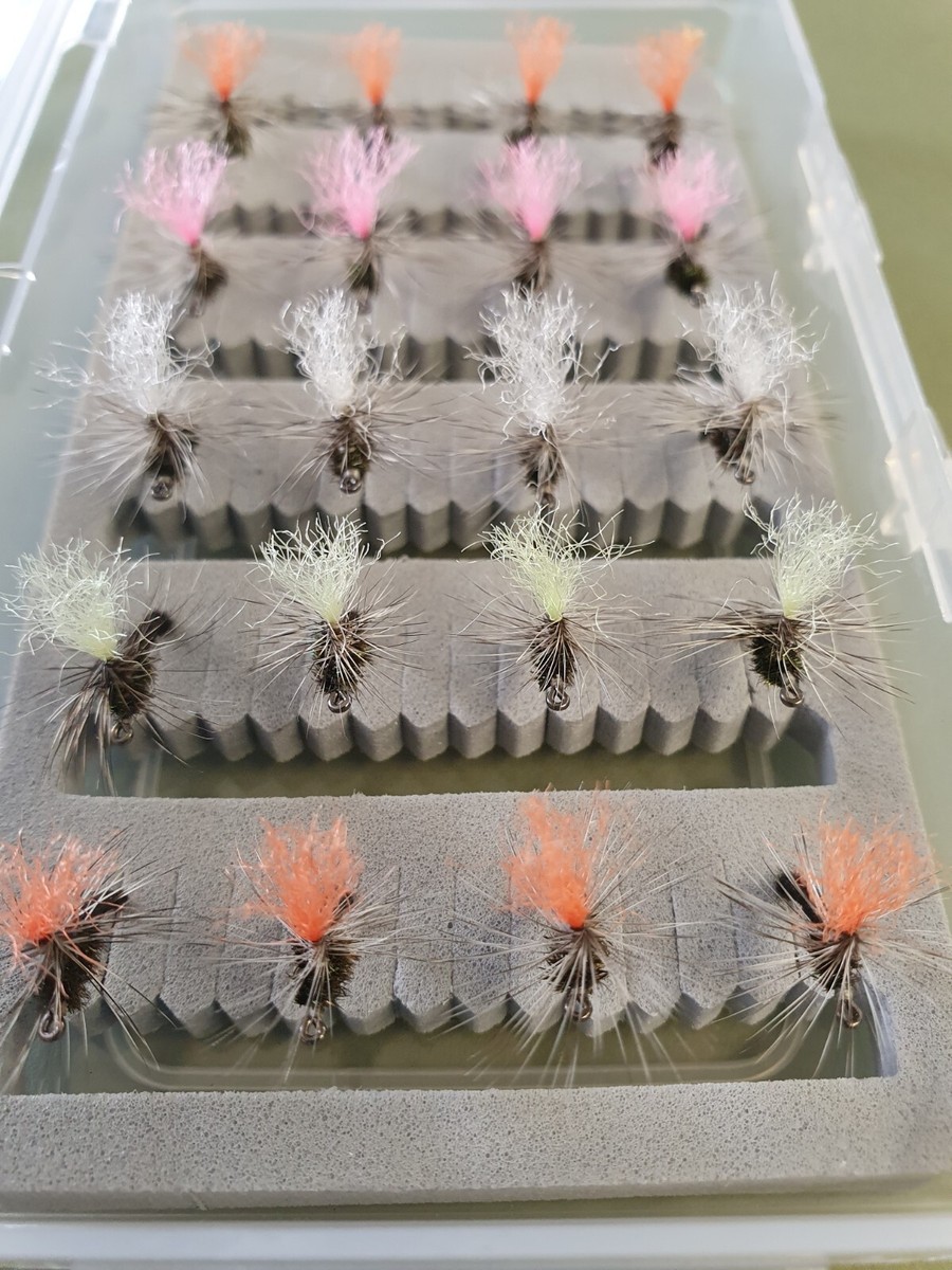 WENKO Contenitore In Bambù Terra L, Pratica Scatola Organizer Per - Foto 7