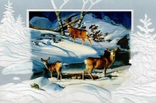 16 Embossed Boxed Christmas Cards Mule Deer Blue Afternoon