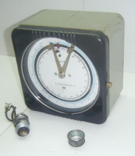 Eagle Signal Controls Flexopulse 0-20 min. Flexopulse Repeat Cycle Timer - Picture 2 of 18