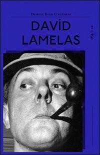 Drawing Room Confessions #4: David Lamelas [Taschenbuch] by David Lamelas, , Goo