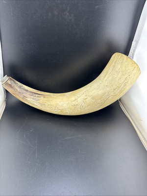 Vintage Black Powder Muzzleloader Powder Horn Some Damage 