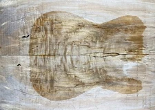 Telecaster Guitar Top Quilted Worm-hole Maple Wood Stabilised Resin filling