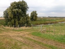 Foto A3 Blick über den Thekenabfluss von Jolly Bankers Fluttoren c2016