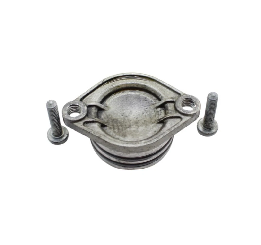 2016 - 2019 DUCATI PANIGALE 959 ENGINE CAP COOLING SILVER STOCK
