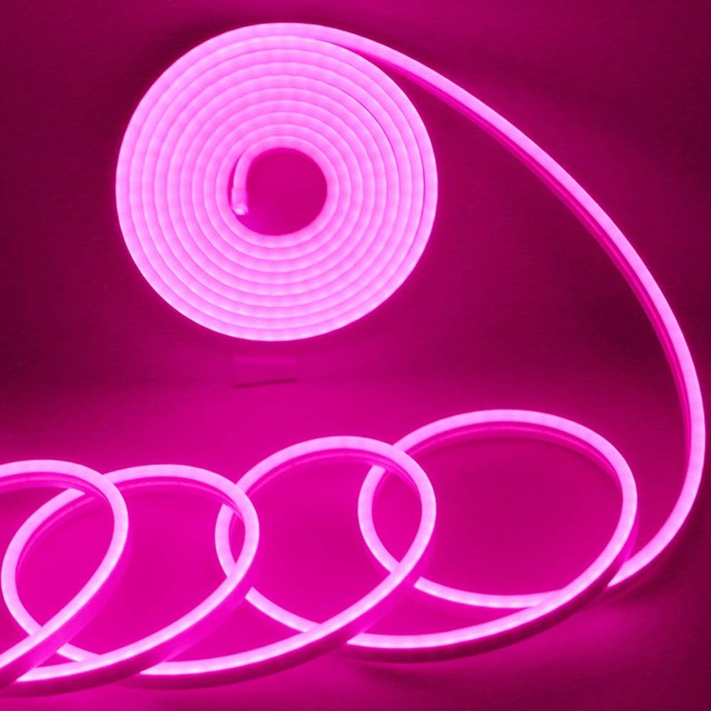 Everbright Pink LED Neon Strip Lights 12V 16.4ft Indoor Outdoor Rope