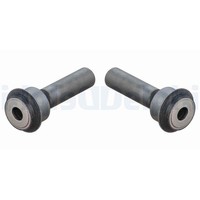 2X Delphi Lagerung AchsköRper FüR Nissan Qashqai +2 I J10 JJ10 2.0 1.6