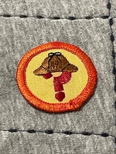 Vintage GSA Girl Scout Patch Badge SCIENCE SLEUTH 1980's RARE