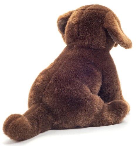 labrador teddies