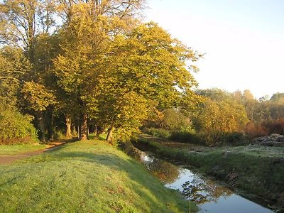 Fotopapier 210 x 297mm DIN A4 SELBSTKLEBEND matt oder glanz Tintenstrahl PRIPA