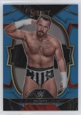 2023 Panini Select WWE Concourse Light Blue Prizm 139/249 Joe Coffey #25 0jr1