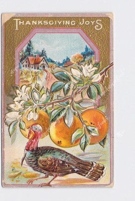 PPC Postcard Thanksgiving Joys Turkey Orange Branch Wheat Gold Embossed #3