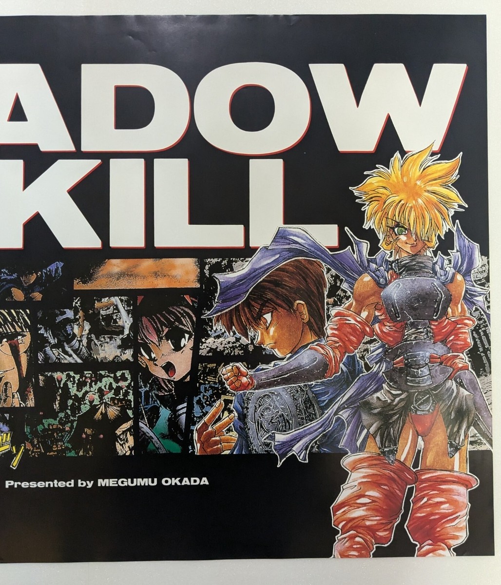 Shadow Skill Megumu Okada Japanese Anime Movie B2 Poster | eBay