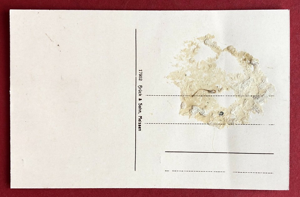 📮 Carte Postale Ancienne - Bad Hotel & Friedensburg à Kötzschenbroda (1906) - Allemagne