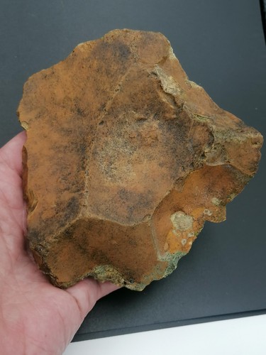 Middle Paleolithic Neanderthal France Beautiful Mousterian Levallois nucleus - Picture 8 of 12