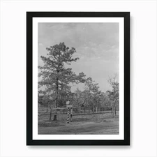 Untitled Photo Possibly Related To  Framed Wall Art Poster Canvas Print Picture