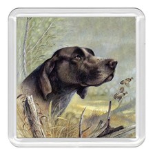 GERMAN SHORTHAIRED POINTER Dog Acrylic Coaster Novelty Drink Cup Mat Great Gift