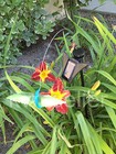 Picture 20 of 25