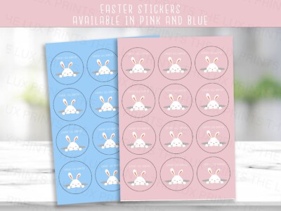BLAU & PINK Expert Eierjäger Kind Aufkleber Ostern Party Sticker, Label Sweet Cone