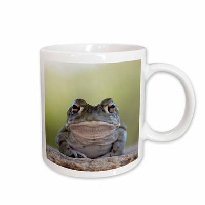 3dRose mug_9925_1 Sonoran Desert Toad, Bufo Alvarius Ceramic Mug, 11-Ounce