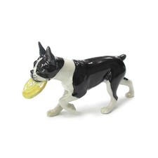 Northern Rose Dog - Boston Terrier with Frisb...