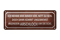 Blechschild Spruch 27X10 Cm Ich Immer Nett Doch Arschloch Deko Schild Tin Sign