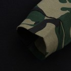 Bild 8 von 8