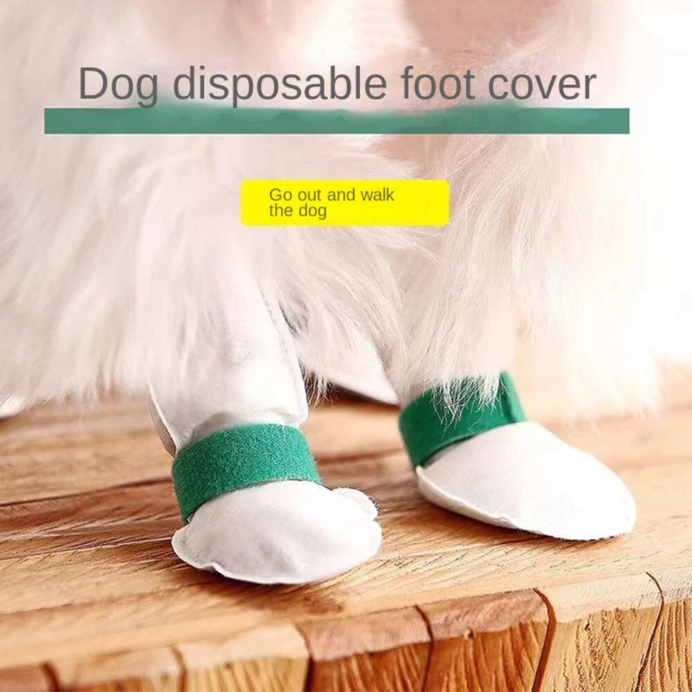 Chaussette chien parquet sales