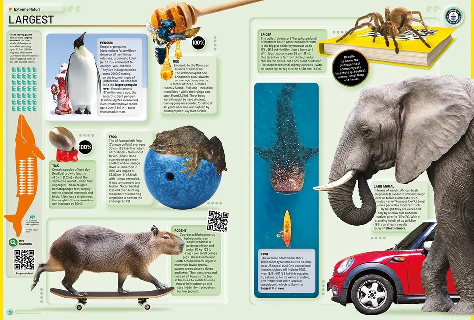 Guinness World Records 2026 Hardcover – 26 Aug. 2025 - Image 3 of 4