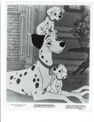 Miami County Dogs 102 For Sale South Bay Craigslist Pets