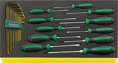 Stahlwille TOOL SET IN TOOL-CONTROL TRAY-SYSTEM 96830122 Set with  20 Psc. TCS W