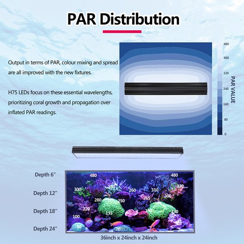 PopBloom Hertz75 WiFi Reef LED Light Aquarium 36" 90cm 3ft Marine Reef Fish Tank - 第 10/13 張圖片