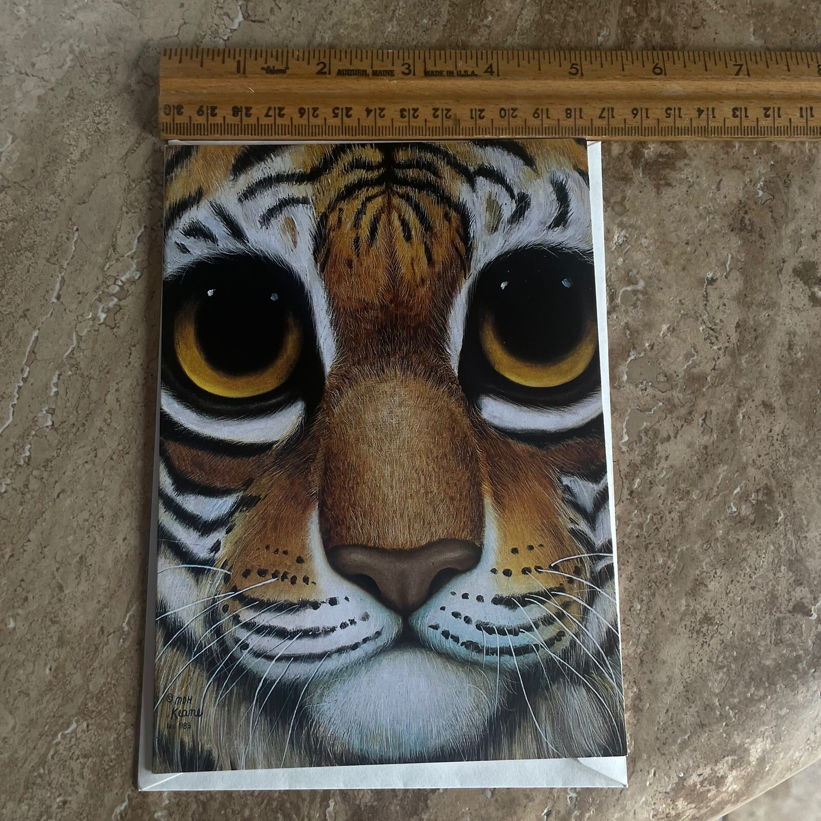 Picture 5 of 5