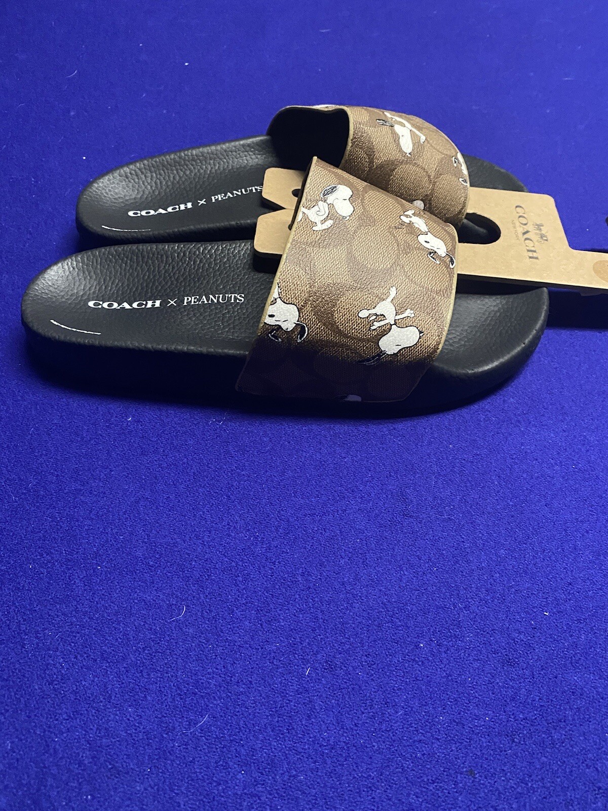 coach peanuts slides
