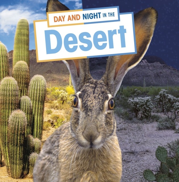 Day & Night In The Desert