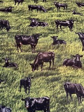 Cows Calves Black Baby Toddler sheets set