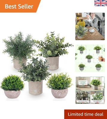 Lebensechte 5er Pack kleine Topfpflanzen Kunstpflanzen für Büro und Zuhause Eleganz